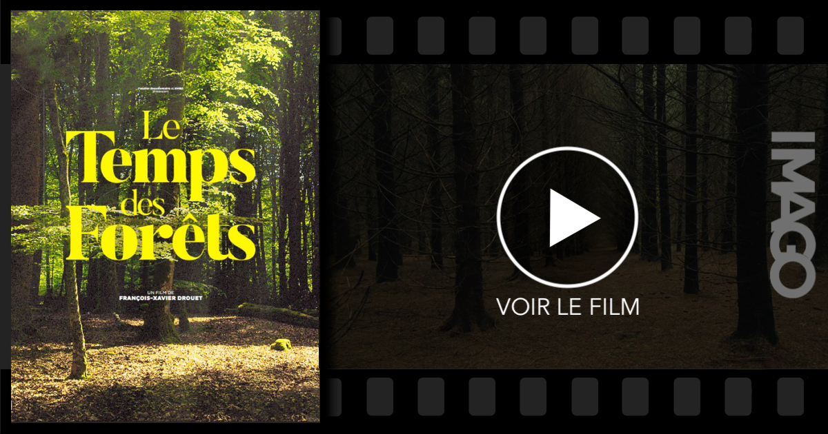 Le Temps Des Forets Streaming Gratuit